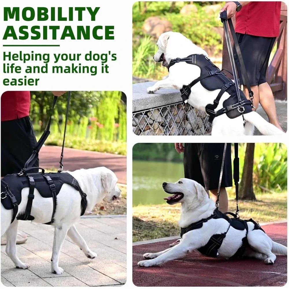 PUPTECK Mobility Support Harness for Medium‎ Large Dog Hind Leg Injury Aid